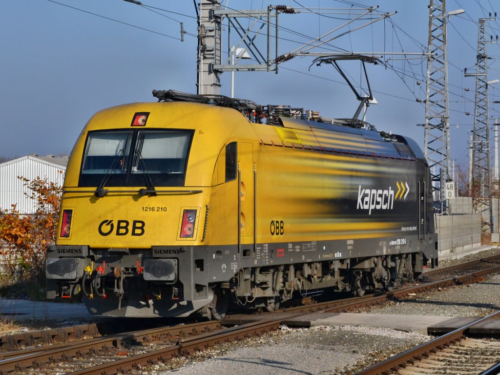 1216 210 ragngiert in Wiener Neustadt Hbf.