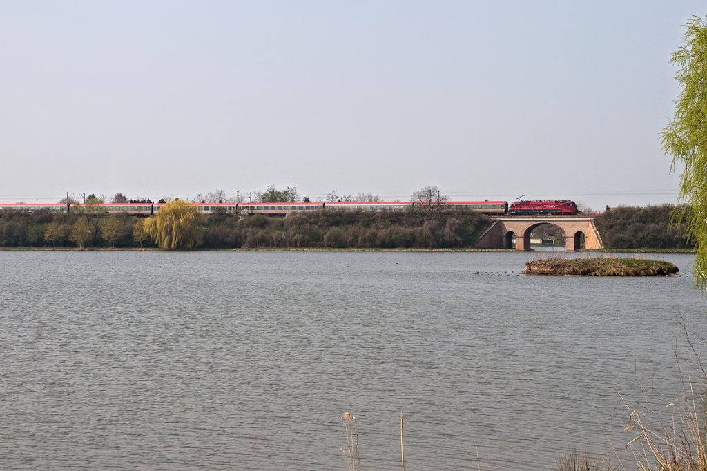 1216 229 ist mit dem EC 172  Vindobona  (Villach - Hamburg Altona) kurz vor der tschechischen Grenze bei Bernhardsthal unterwegs. Die Aufnahme entstand am 21.04.2013.