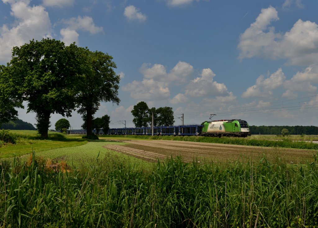 1216 954 mit einem leeren Autozug am 08.06.2013 bei Thonstetten.