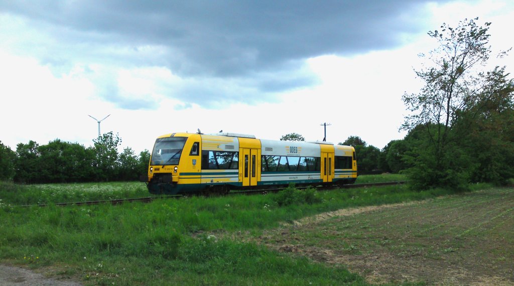 13.05.2011 - VT 650.79 der ODEG erreicht in wenigen Minuten den Bhf. Letschin. Linie OE60.