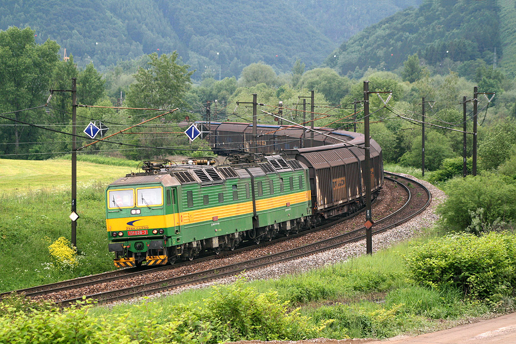 131 028-3 Vrtky (1.06.2013)