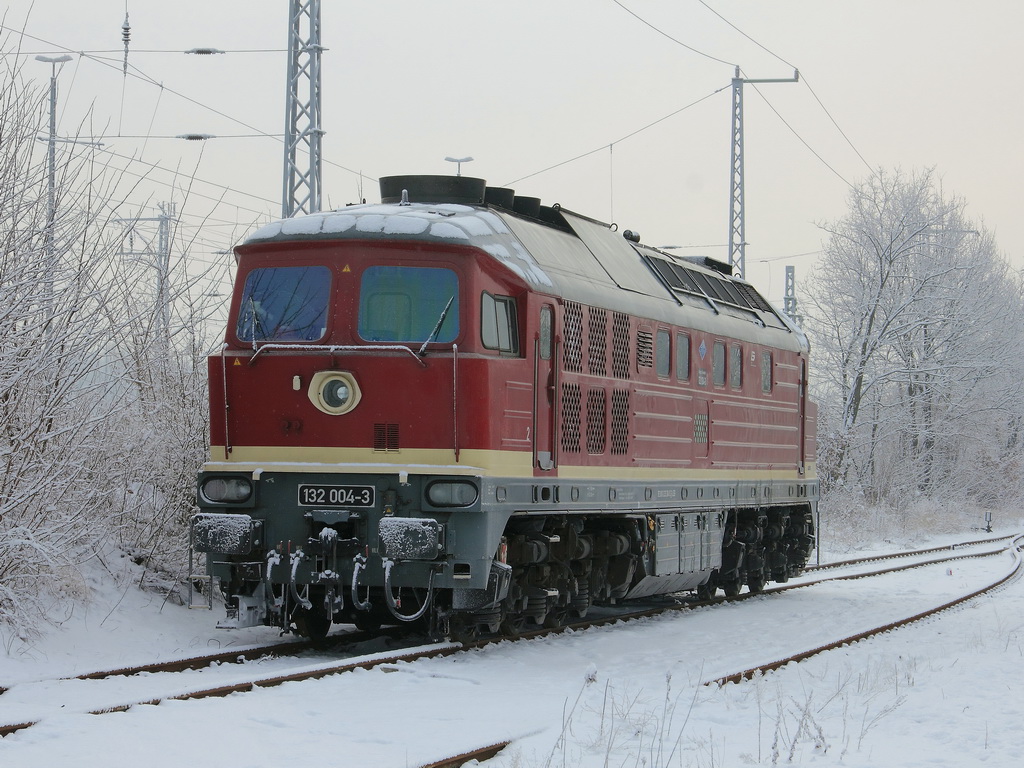 132 004-3 (92 80 0 232 204 0 D-LEG) am 15. Mrz 2013 im einem ffentlichen zugnglichen Bereich  des Gterbahnhofes Grnau.