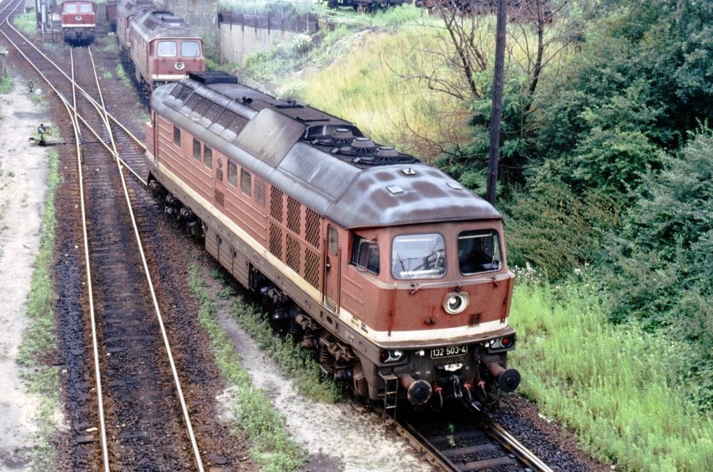 132 503-4 Bw Wustermark, Juli 1991. Auf den frheren Dampflok-Behandlungsgleisen stehen 1991 Dieselloks in Warteposition. Aufn. von der Fugngerbrcke.