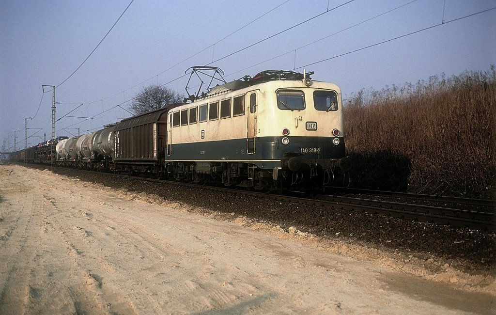 140 318  bei Offenburg  19.02.94