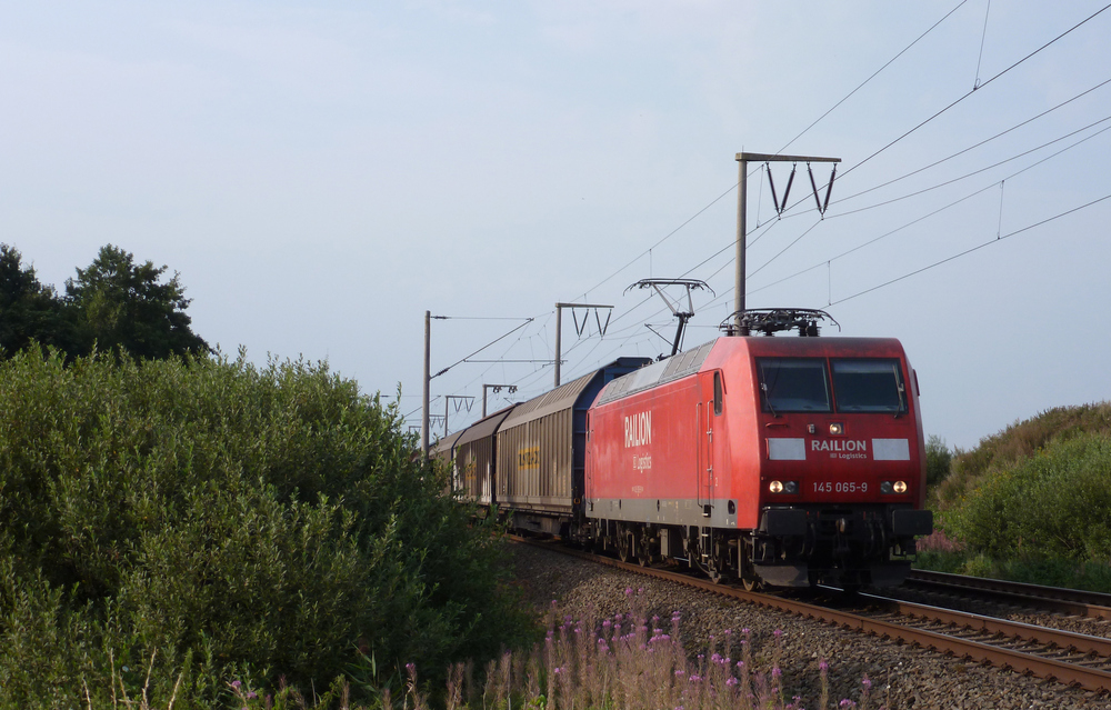 145 065-9 fuhr am 21.08.2012 mit einem Gterzug von Emden nach Osnabrck, hier bei Veenhusen.
