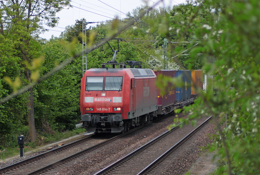 146 014-7 bahnt sich dem Weg durch die grne Oase in Geilenkirchen, hier kurz vor dem Geilenkirchener Bahnhof, verstecken? Nicht mit mir :-) 16.5.10