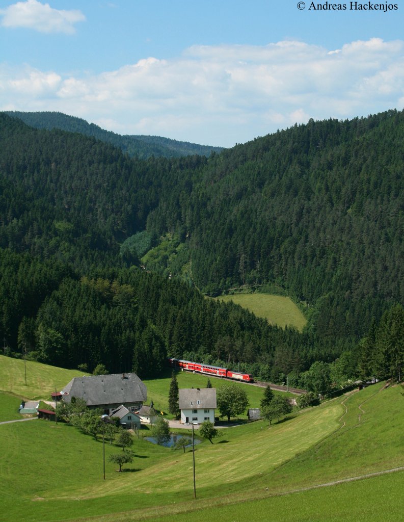 146 1** mit dem RE 5193 (Karlsruhe Hbf-Kreuzlingen) am Hippensbachtunnel 24.6.10