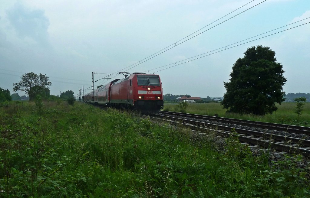 146 239-9 mit einem RE nach Basel Bad. Bf am 24.05.12 sdlich von Buggingen. Leider regnete es den ganzen Tag, aber auch  feuchte  Bilder sollen hbsch sein, hab ich gehrt.