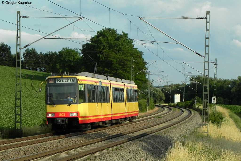 15.06.2011: Wagen 803 als S9 nach Bruchsal kurz vor Helmsheim.