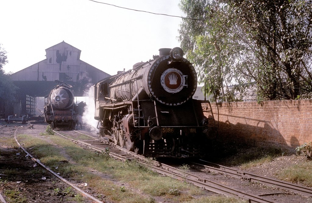  15086  Ludhiana  28.10.93