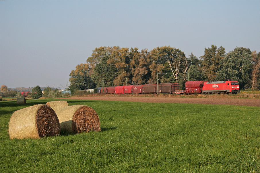 152 076 mit einem gemischtem Gterzug bei Riedstadt-Wolfskehlen. 13.10.10