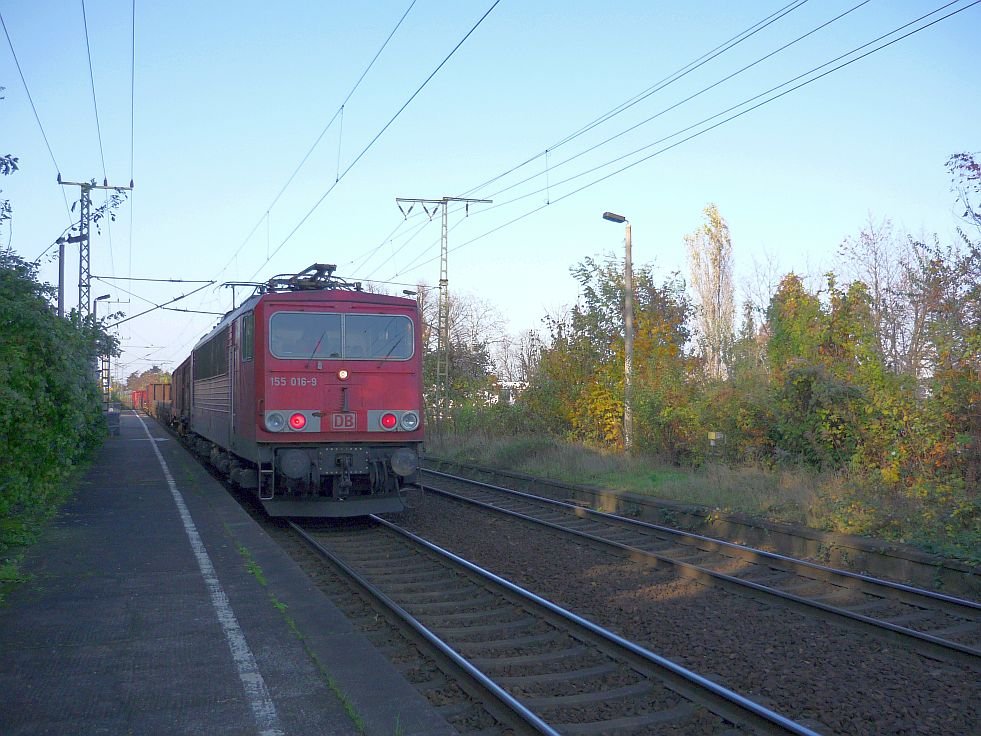 155 016-9 bei der Durchfahrt vom Hp Dresden Cotta, in Richtung Gbh Friedrichstadt am 06.11.2009.