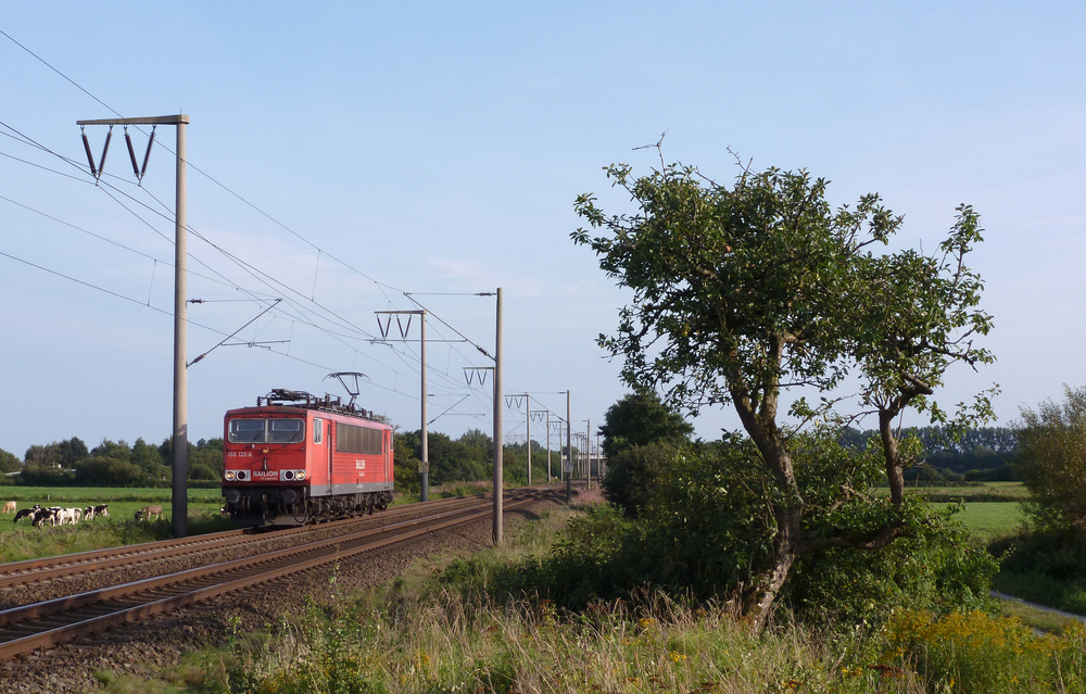 155 125-8 fuhr am 29.08.2012 als Lokzug aus dem S�den nach Emden, hier bei Veenhusen.