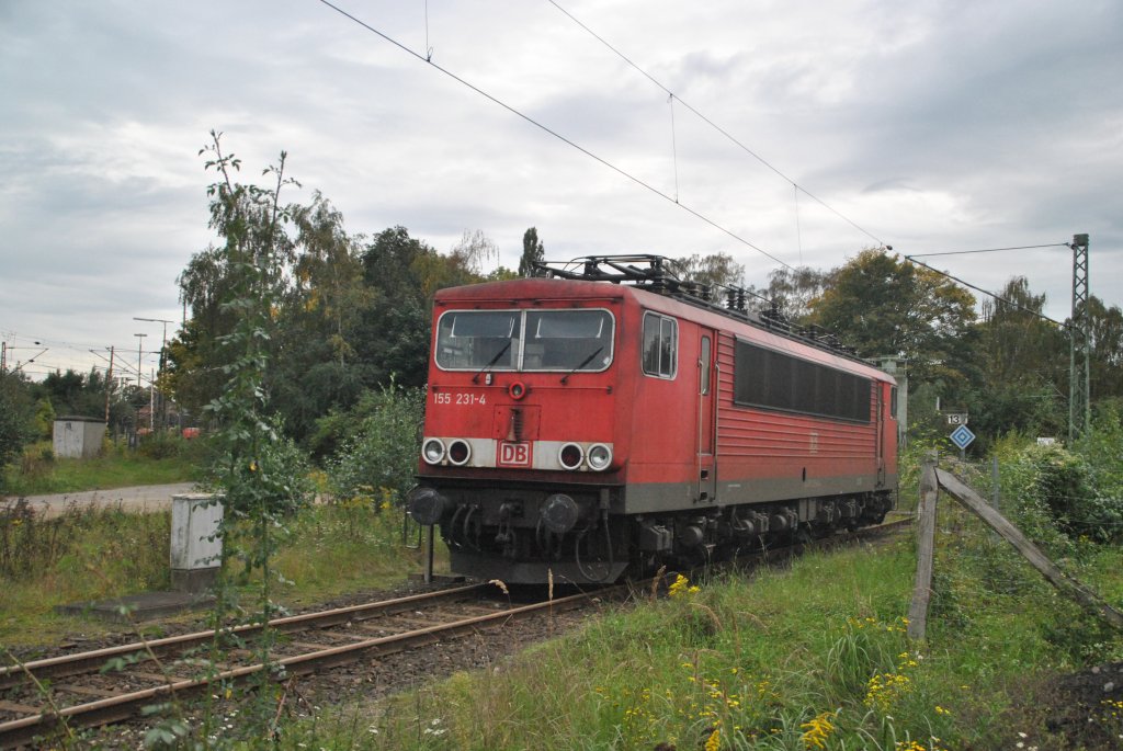 155 231-4, im Ex Bw Lehrte, am 06.10.10.