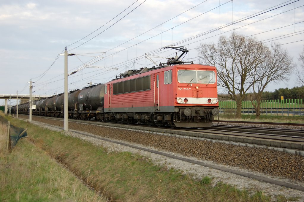 155 239-7 mit Polnischen Kesselwagen zwischen Gro�wudicke und Rathenow in Richtung Stendal. 15.04.2010