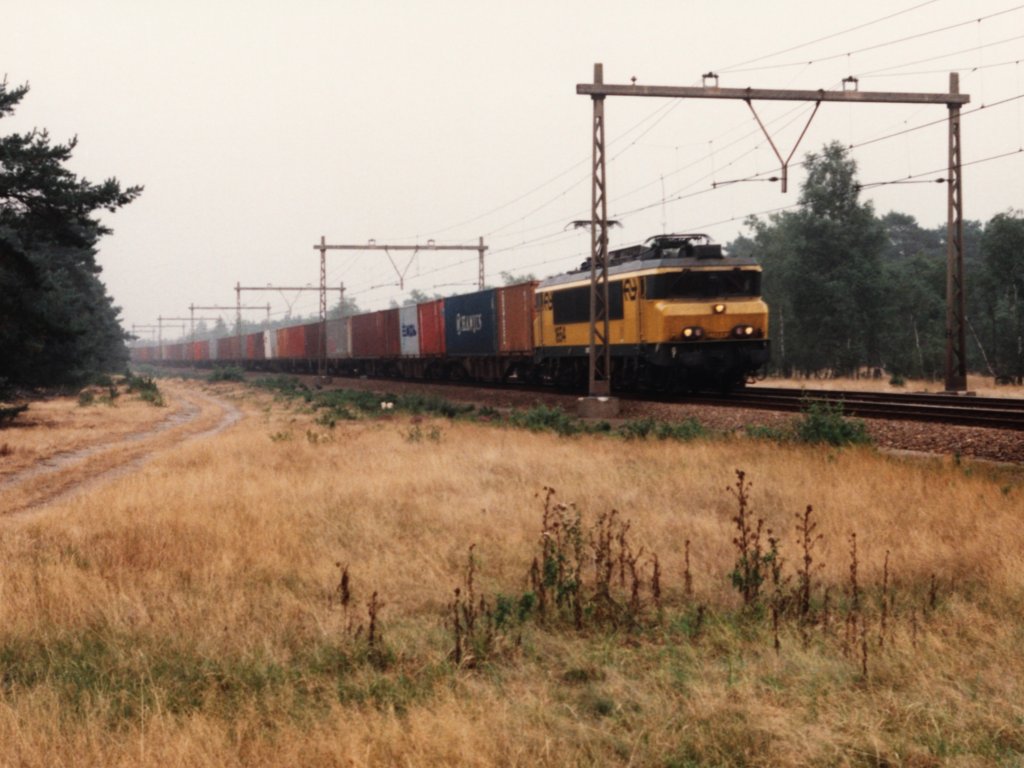 1654 mit Gterzug 52313 Veendam-Waalhaven Zuid bei Nunspeet am 23-8-1994. Bild und scan: Date Jan de Vries.
