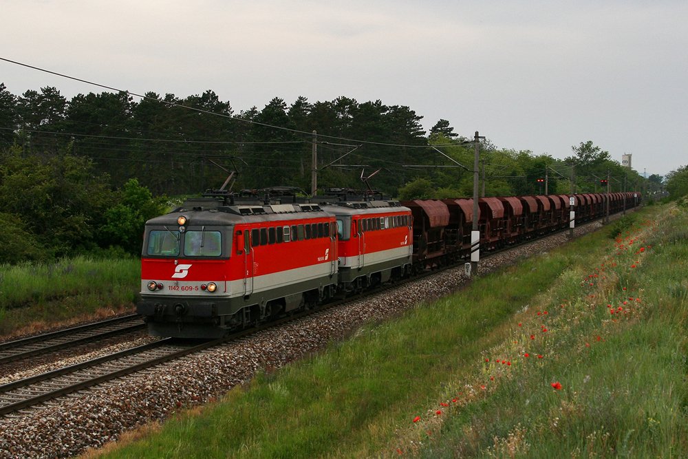 17.5.08 Am Nachmittag kann man das Licht f�r die - Richtung Norden - fahrenden Z�ge vergessen. Nicht so wenn die Sonne einmal hinter einer Wolkendecke verschwindet. So konnte die 42er Tandemleistung doch noch halbwegs brauchbar ablichten. Zu sehen sind die 1142 609 und 1142 616 mit dem LGAG 47641 von Donawitz nach Marchegg. (Von Donawitz bis Strasshof mit 2x 1142, von Strasshof bis Marchegg mit 2016)