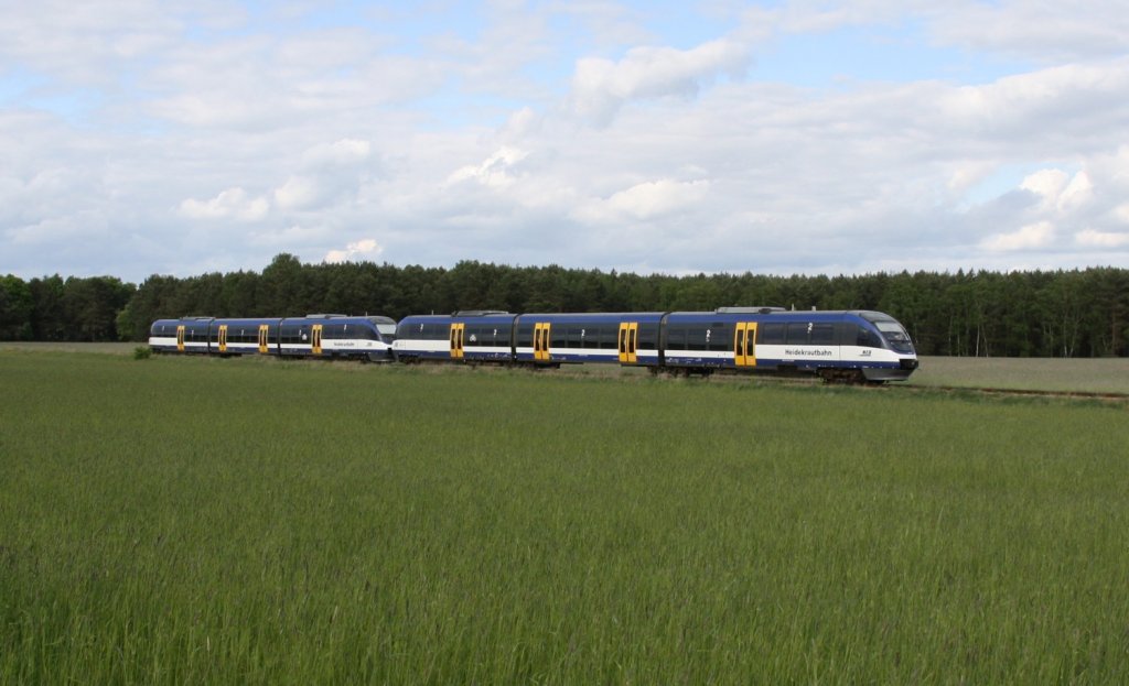 17.5.2012 Heidekrautbahn im Heidekraut zwischen Klosterfelde und Wandlitzsee.