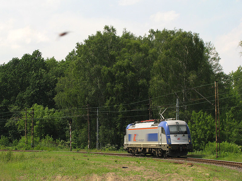 183-603 erreicht im Kurzen den Betriebshof von PKP Intercity. (Warszawa Olszynka, 10.06.2010). Und der Vogel war zu schnell...