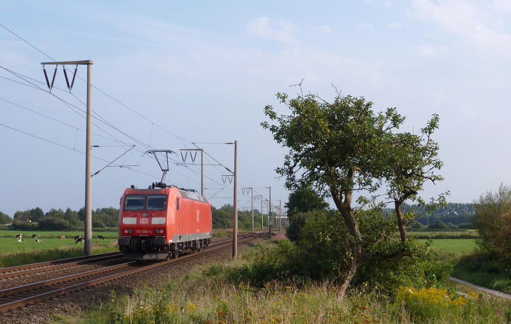185 006-4 fuhr am 21.08.2012 als Lokzug von Emden nach Drpen, hier bei Veenhusen.