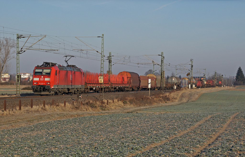 185 025-4 zieht einen gemischten Gterzug bei Biebesheim in Richtung Mannheim Rbf. 05.02.12