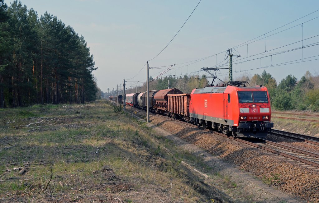 185 063 zog am 19.04.12 einen gemischten Gterzug durch Burgkemnitz Richtung Wittenberg.