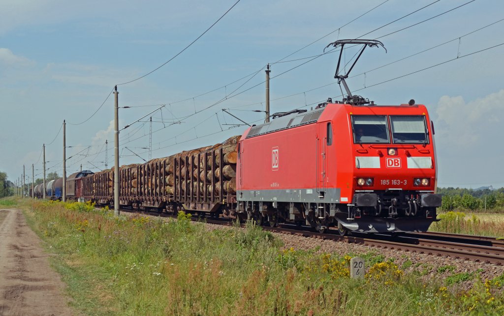 185 163 zog am 04.08.12 einen gemischten Gterzug durch Kyhna Richtung Delitzsch.