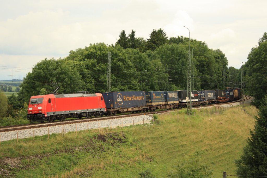 185 313 mit einem Gterzug am 30.07.2010 in Aling.
