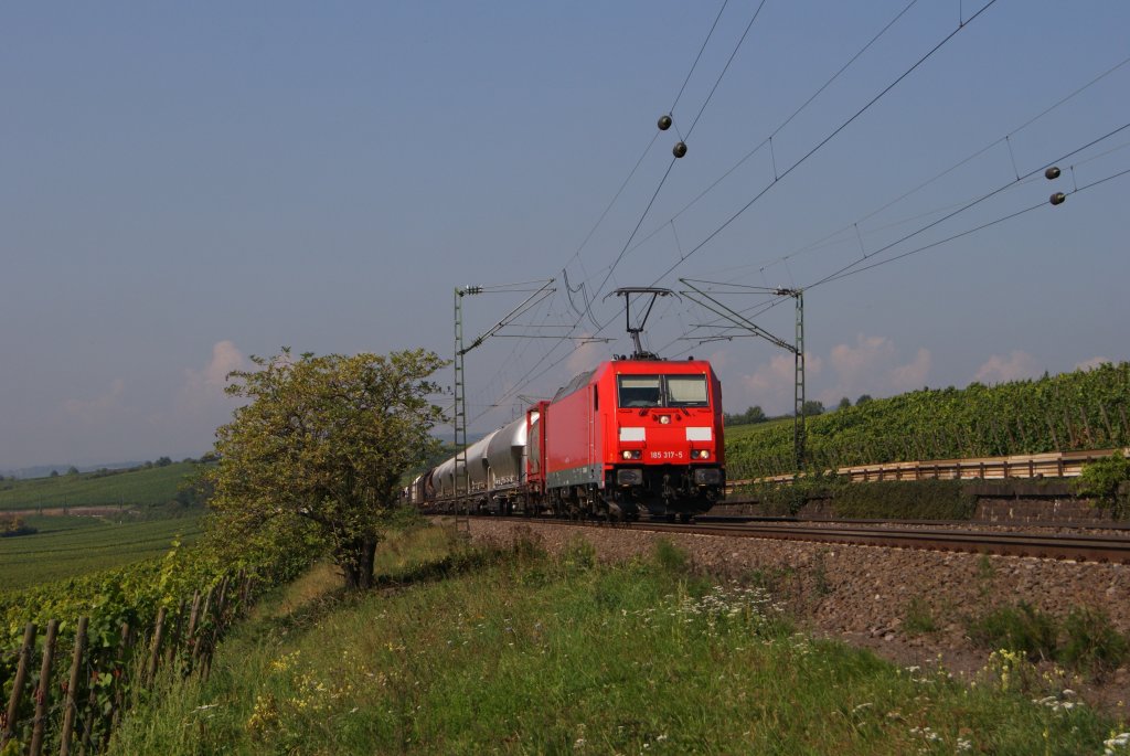 185 317-5 mit einem gemischten Gterzug in Erbach (Rheingau) am 03.09.2011