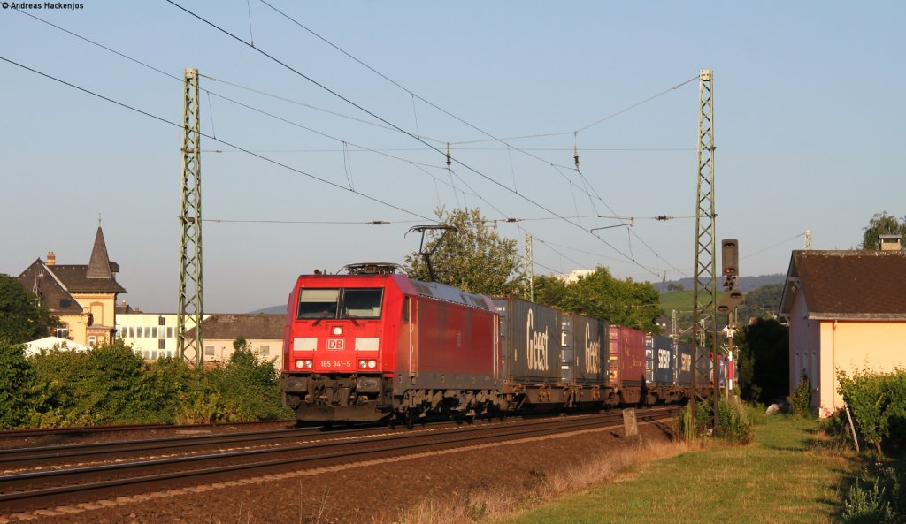185 341-5 mit einem Containerzug bei Geisenheim 1.8.12