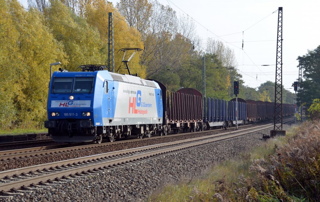 185 511 zog am 28.10.11 einen leeren HLG-Holzzug durch Leipzig-Thekla Richtung Mockau.