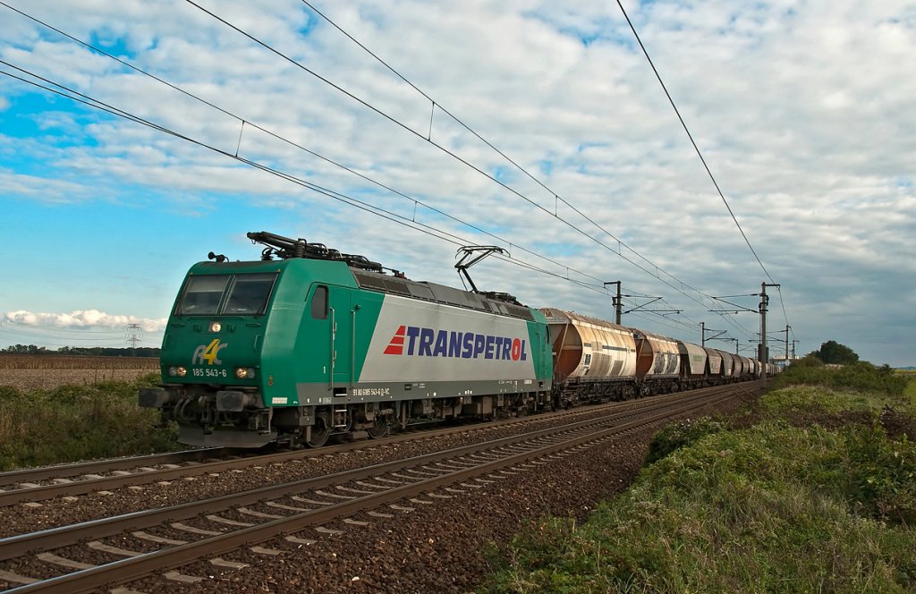 185 543 ist mit dem obligaten Getreidezug Richtung Wien unterwegs. Die Aufnahme entstand am 30.09.2010 kurz nach Gramatneusiedl.