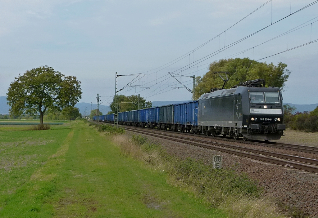 185 556-8 der CFL ist mit einem PKP Sch�ttgutwagenzug am 06.10.2012 in B�hl Iggelheim
