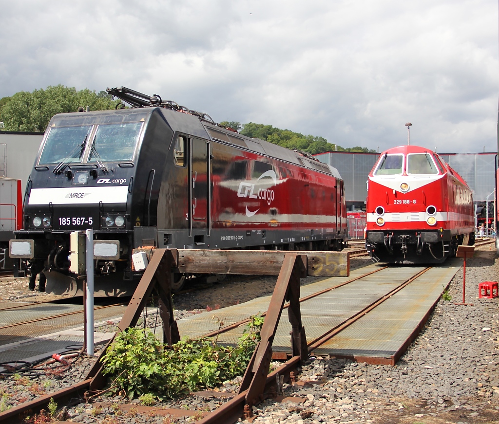185 567-5 glnzte so, dass sich 229 188-8 darin spiegeln konnte. Aufgenommen am 23.07.2011 am Tag der offenen Tr bei Uwe Adam in Eisenach.