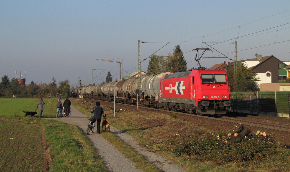185 604-6 fhrt hier in Blankenloch mit einem Kesselzug an dem Fotografen und einigen Wanderern/Radfahrern/Fugngern vorbei. Es ging weiter in Richtugn Karlsruhe. 23.10.2011