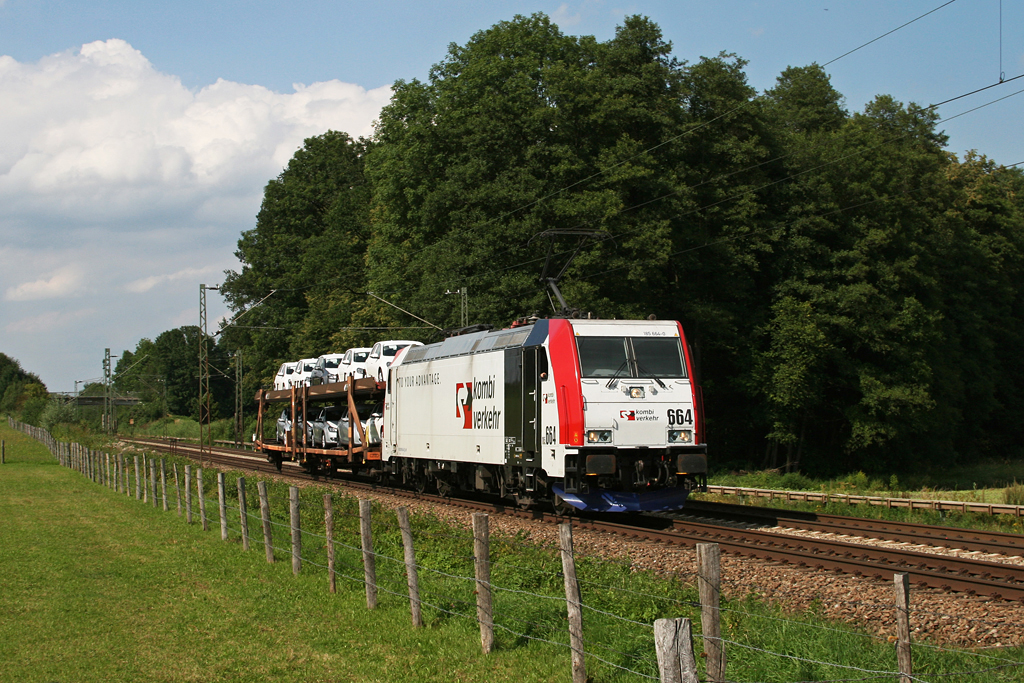 185 664 mit DGS 48867, der auch schon mal lnger war... Aufgenommen bei Grokarolinenfeld am 10.08.2010.