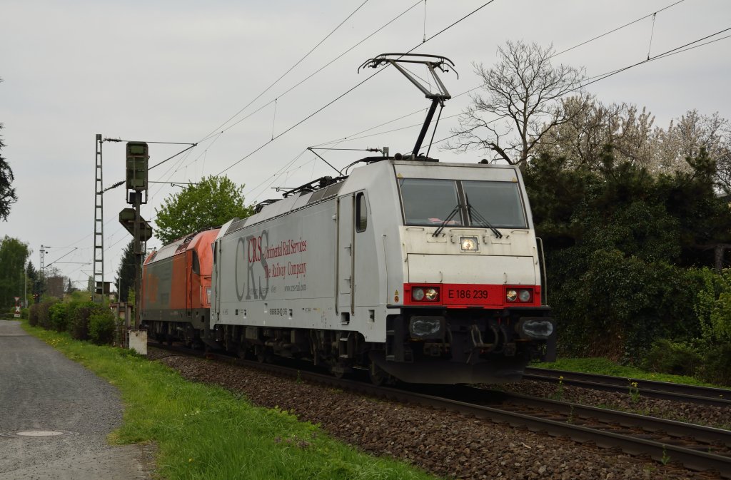 186 239 mit einem RTS Taurus gen Sden bei Bonn-Limperich am 01.05.13!