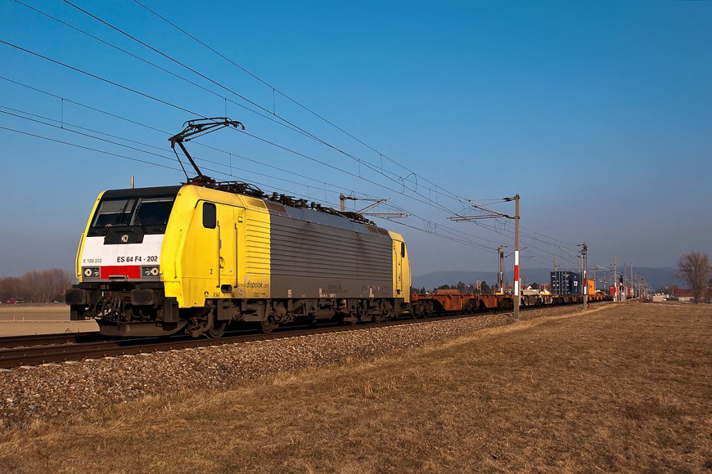 189 202 mit TEC 43940, um 15:56 kurz vor Langenlebarn, am 04.03.2011.
