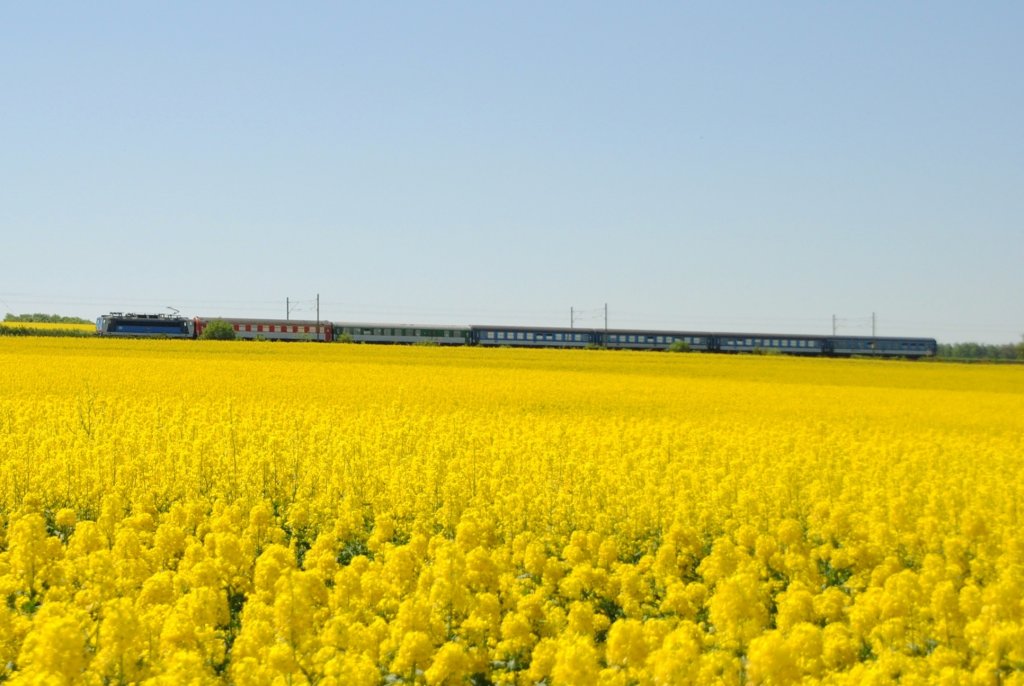 19.5.2013 12:39 ČD 362/363 mit einem Schnellzug aus Cheb nach Praha hl.n. in der Nhe der Talsperre Jesenice zwischen der Haltestelle Stebnice und dem Bahnhof Lipov u Chebu.