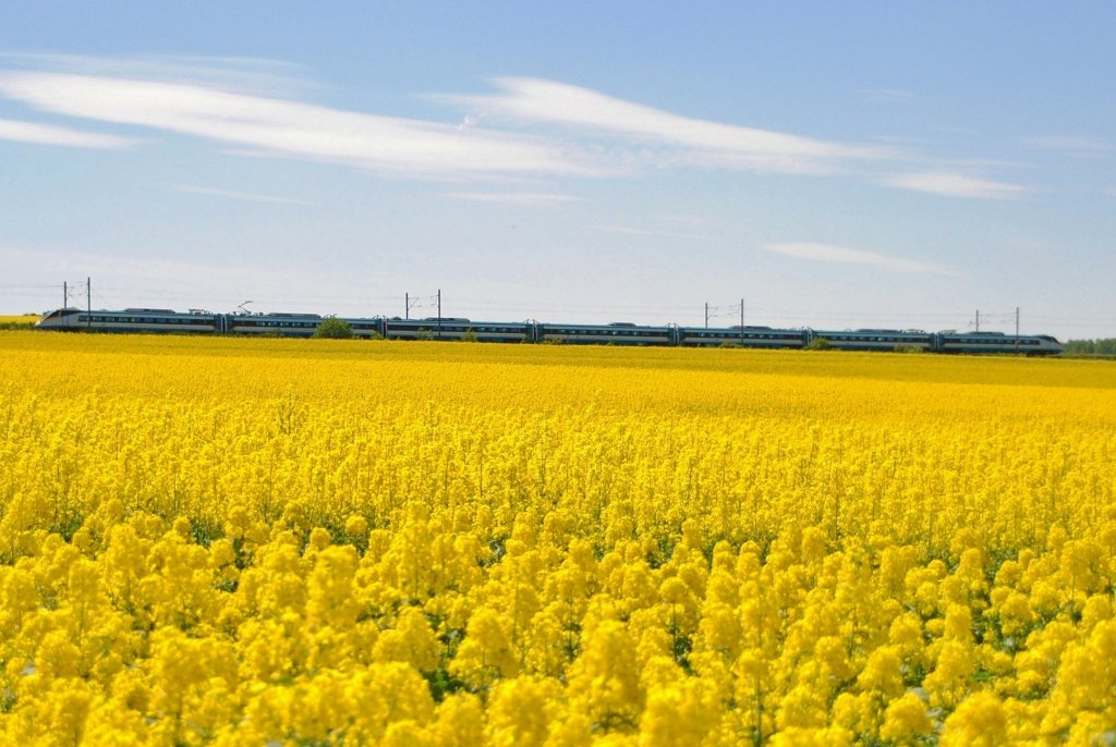 19.5.2013 13:18 ČD 681 003-0  Pendolino  als SuperCity (SC) aus Bohumn nach Frantikovy Lzně in der Nhe der Talsperre Jesenice zwischen der Haltestelle Stebnice und dem Bahnhof Lipov u Chebu.