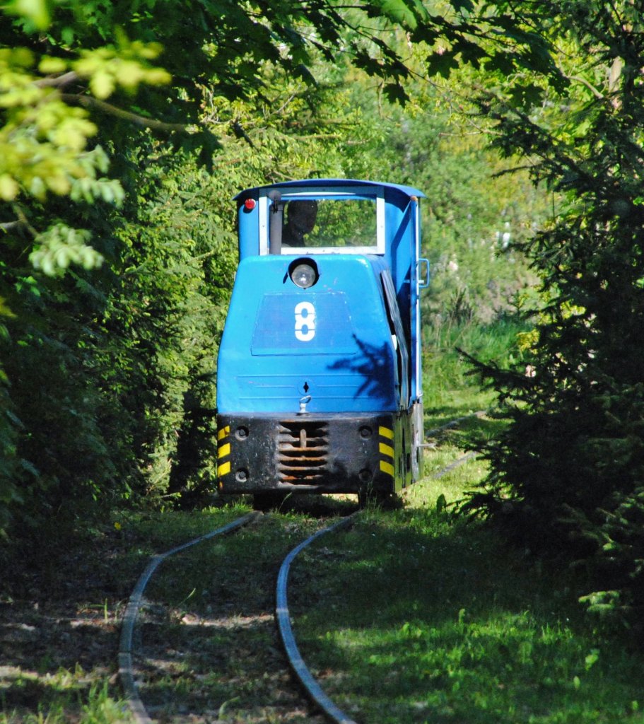 19.5.2013 9:41 Lok 8 der Museumsbahn Kateřina, bei Bereitstellen kurz vor dem Betriebshof SOOS am Tag der offenen Tr.