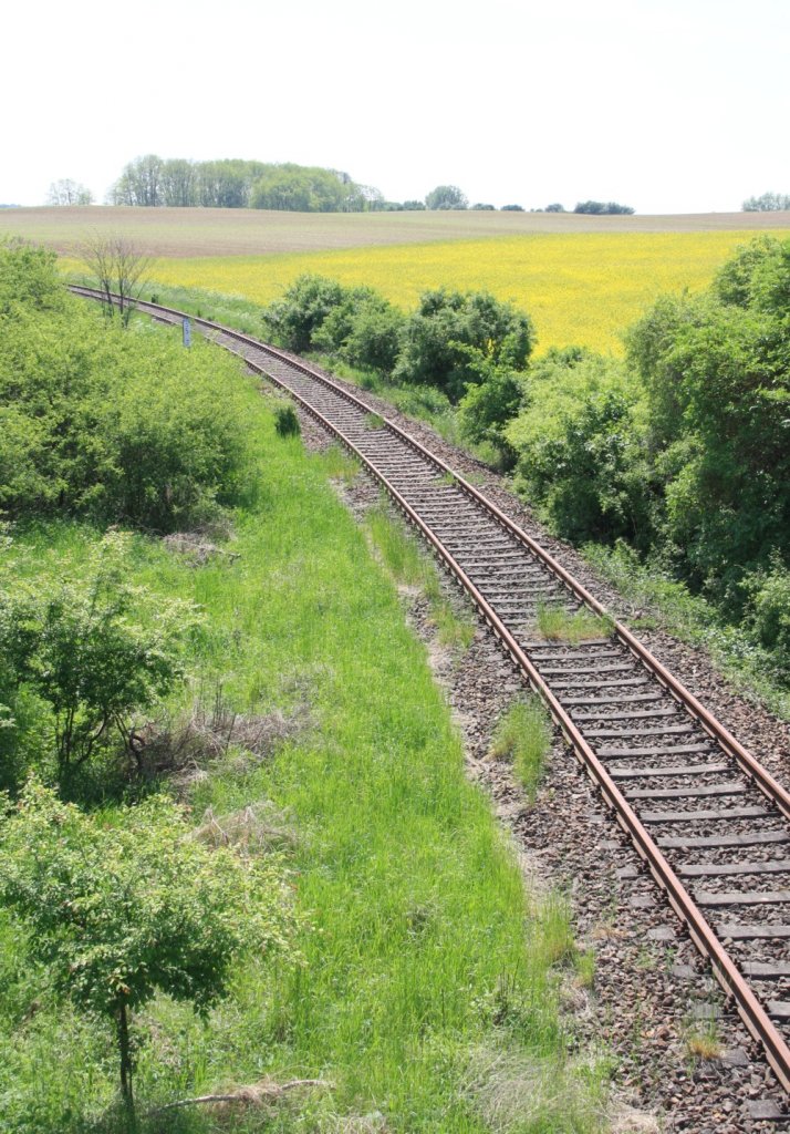 19.5.2013. Wriezener Bahn bei km 55,4. Kein Zug wird kommen...