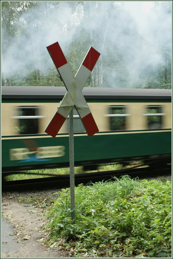 2. Der RASENDE Roland wrtlich fotografiert.
(Beim Schmachtersee, am 20. Sept. 2010)