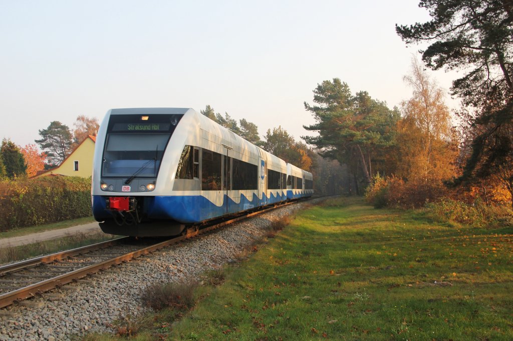 2 UBB-Triebwagen der Baureihe 646 auf dem Weg nach Stralsund am 5.11.2011