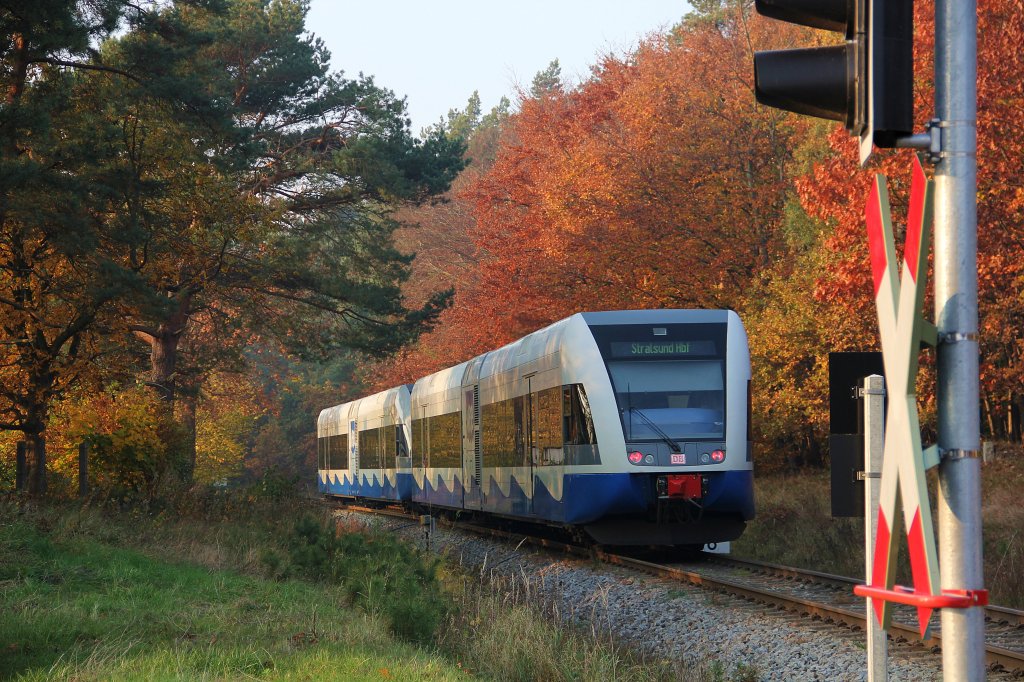 2 UBB-Triebwagen der Baureihe 646 auf dem Weg nach Stralsund am 5.11.2011