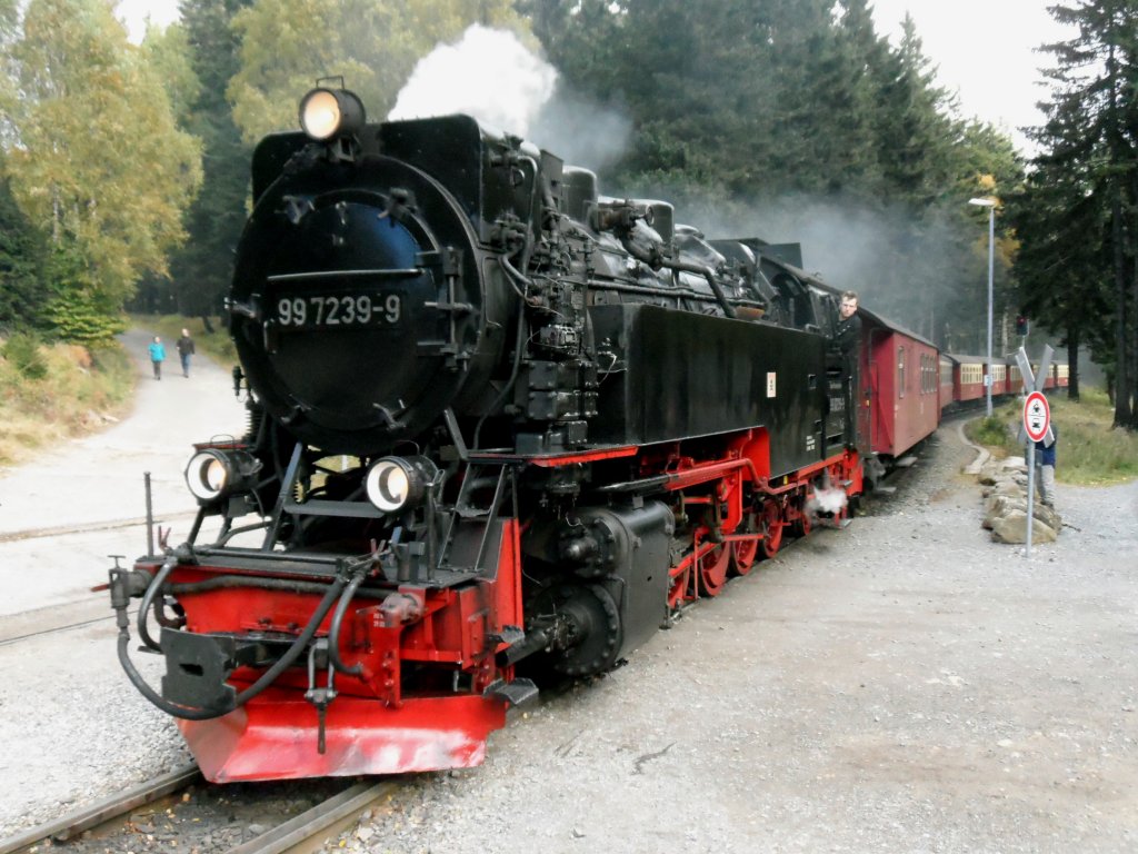 2012-10-07; Lok 99 7238 ist bereit zum Gipfelsturm auf den Brocken; Foto entstand im Bahnhof Schierke