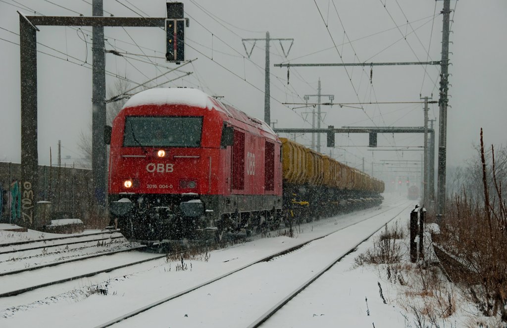 2016 004 im Schneesturm, kurz vor Wien Haidestrae, am 08.01.2010.