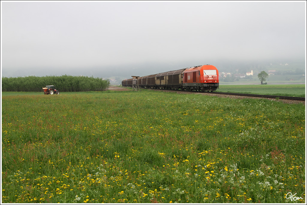 2016 049 rollt mit dem Gterzug 63509 ( Pls - Knittelfeld ) durch das Aichfeld.
Aichdorf 10.5.2013