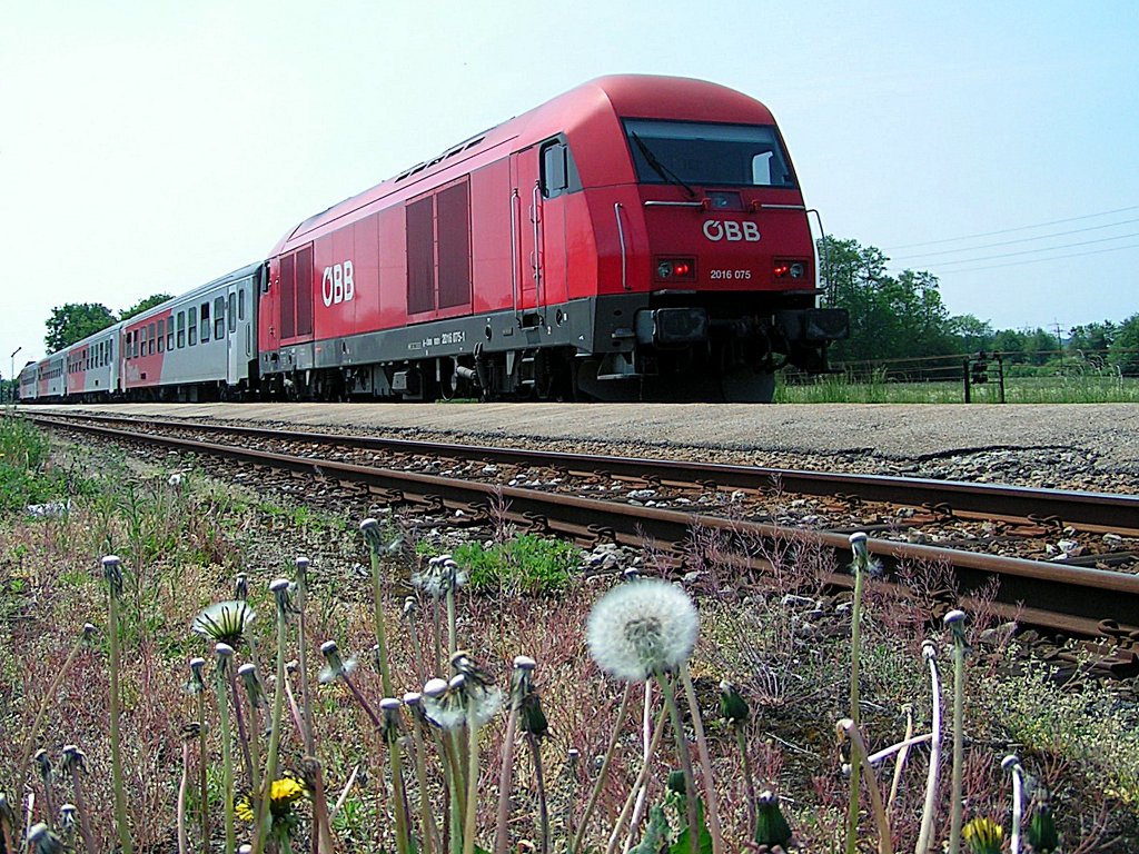 2016 075 schiebt die CS-Garnitur als R5818 aus dem Bahnhof von Mauerkirchen;110512
