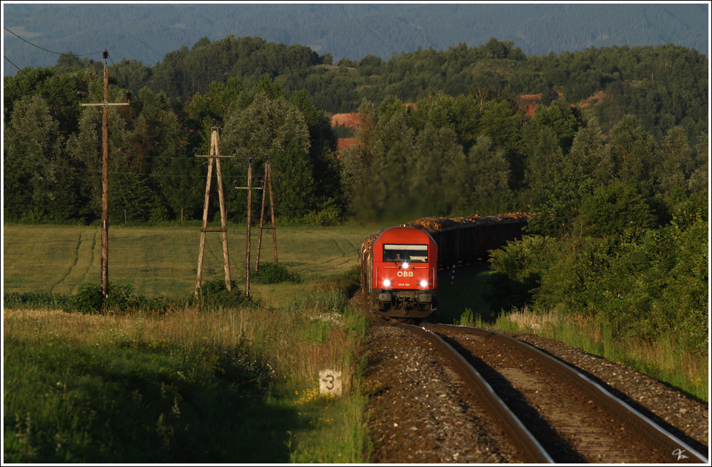 2016 094 fhrt mit einem Holzzug von Knittelfeld nach Pls. 
Fohnsdorf 6.7.2011